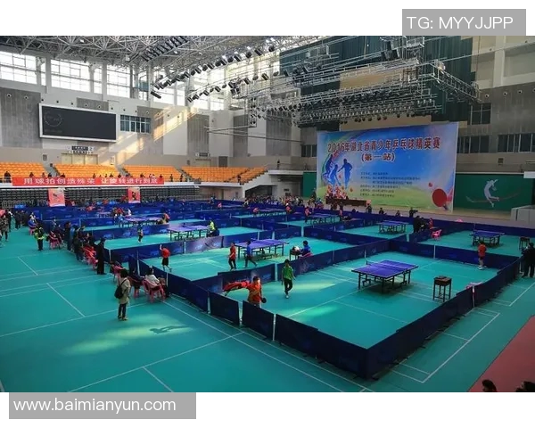 武汉乒乓球队在精英赛中的节奏表现分析与点评 武汉乒乓球队在精英赛中的节奏表现分析与点评