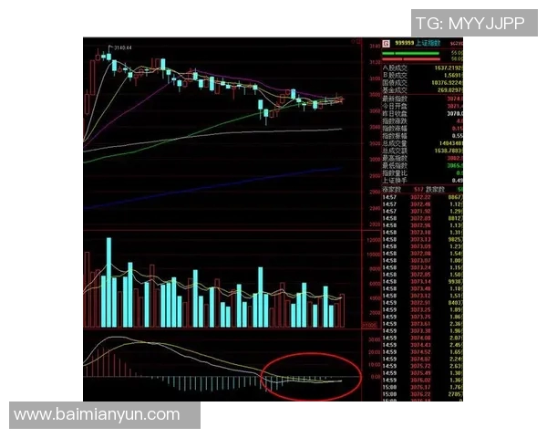 武汉羽毛球队与深圳羽毛球队赛后复盘分析比赛节奏与战术对比 武汉羽毛球队与深圳羽毛球队赛后复盘分析比赛节奏与战术对比