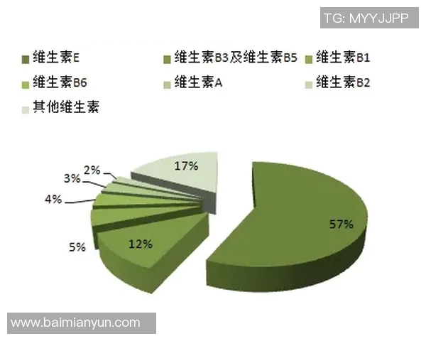 深圳排球队个人能力分析与表现评估研究报告